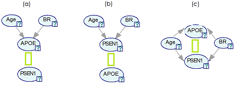 Y-structures.png