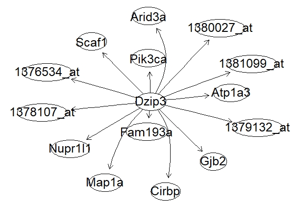 class project network.jpeg